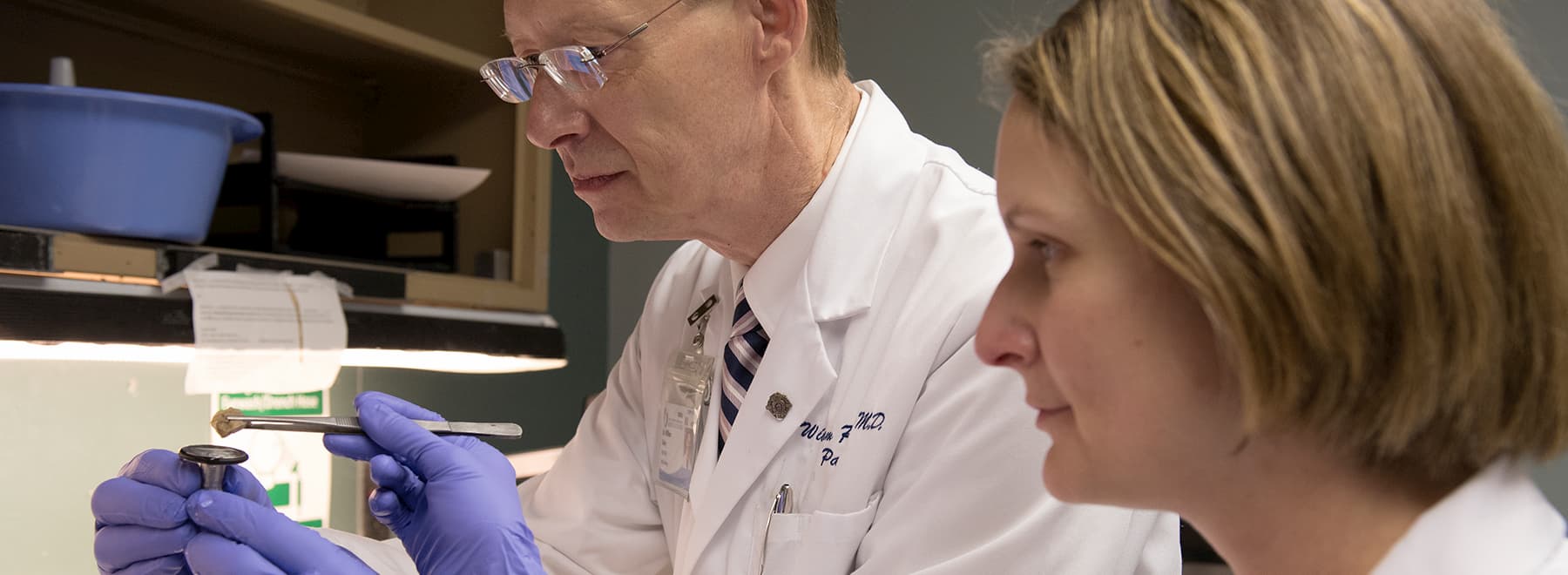 Pathologist examines slides